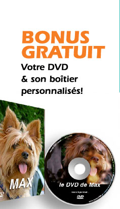 Bonus gratuit : votre DVD et son boitier personnalisés