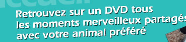 Retrouvez sur un DVD tous les moments merveilleux partags avec votre animal prfr