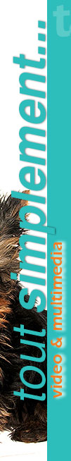 Tout simplement Vido et multimedia