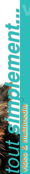 Tout simplement vido et multimedia